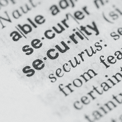 Security in the Dictionary 175x175